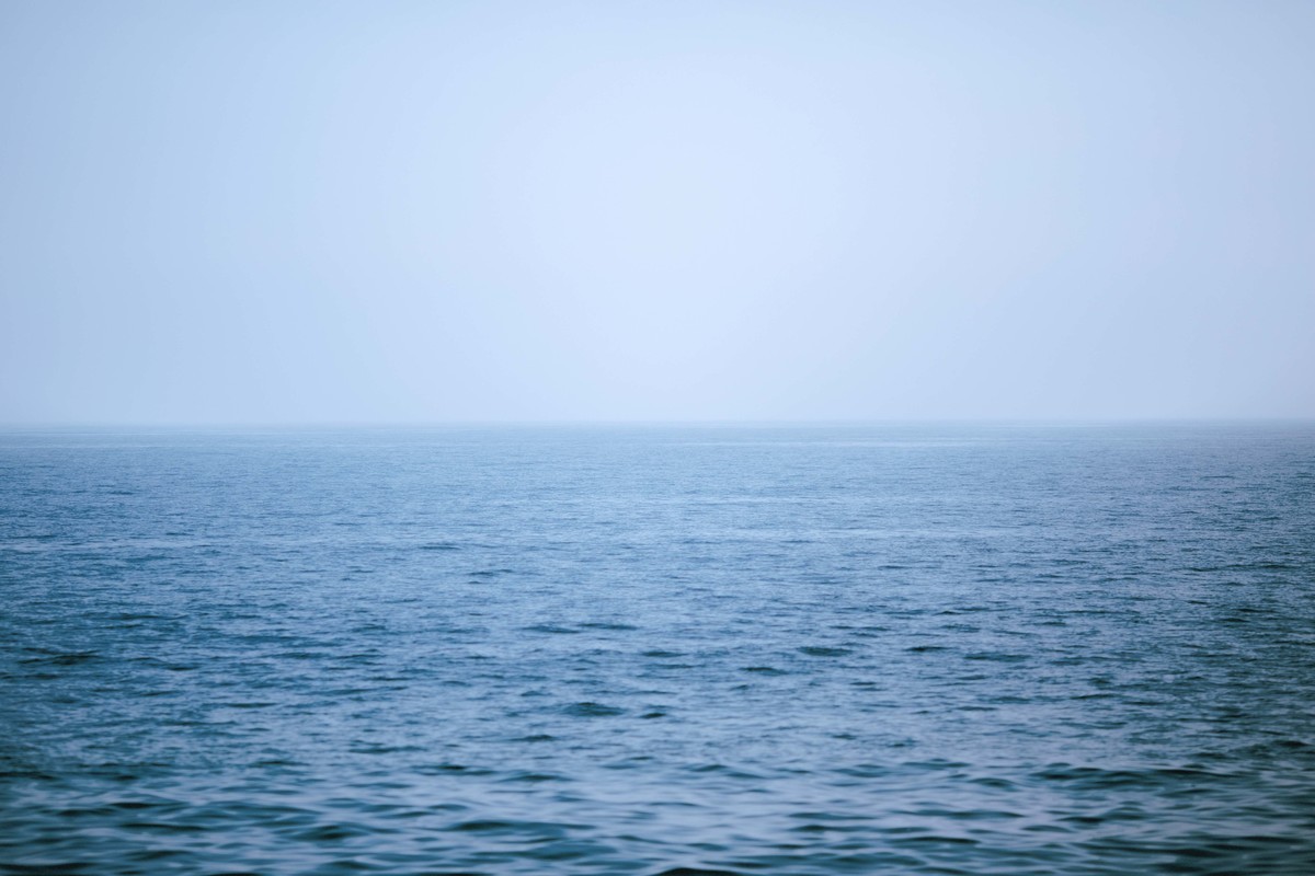沧海月明珠有泪