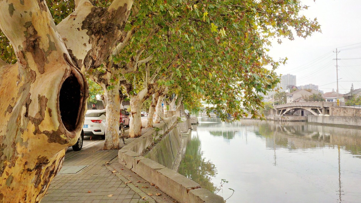 BlackBerry Z10 京杭古运河