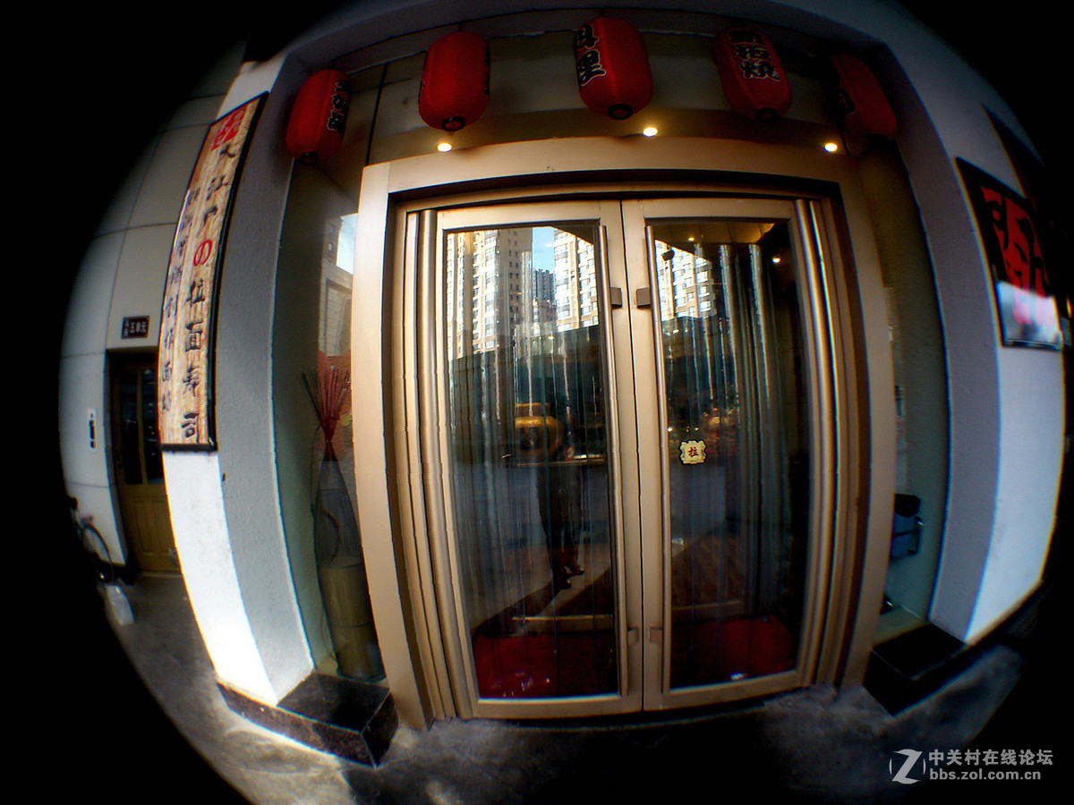 鱼的眼睛看到的吗