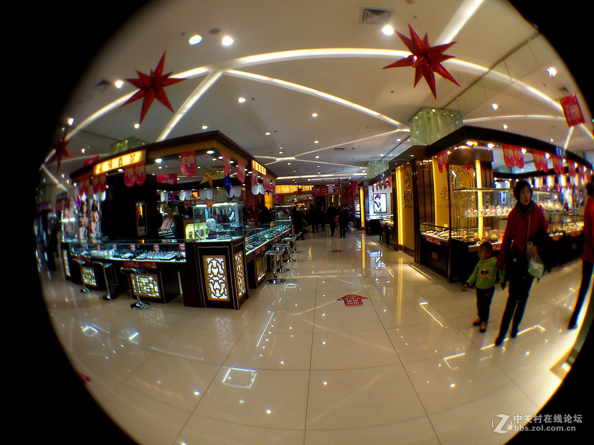 鱼的眼睛看到的吗