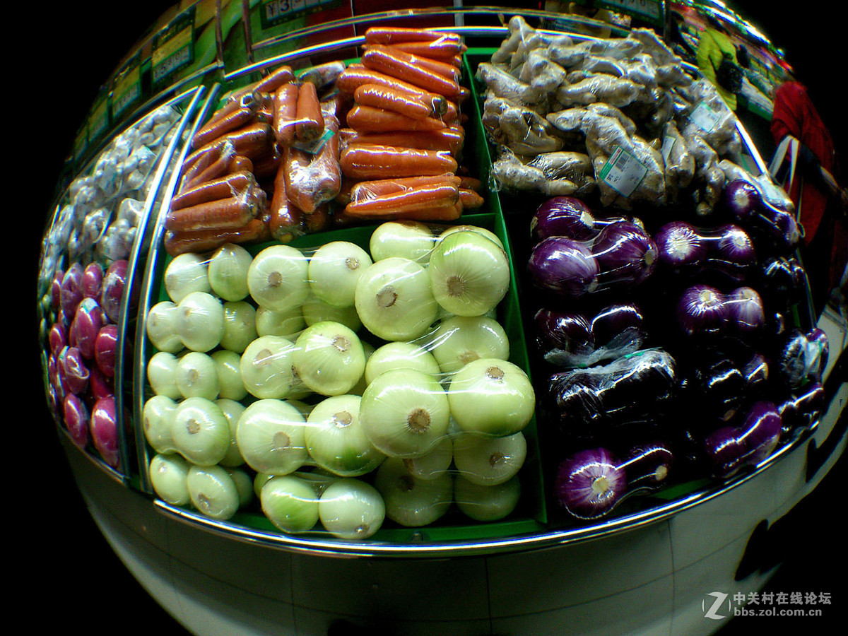 鱼的眼睛看到的吗