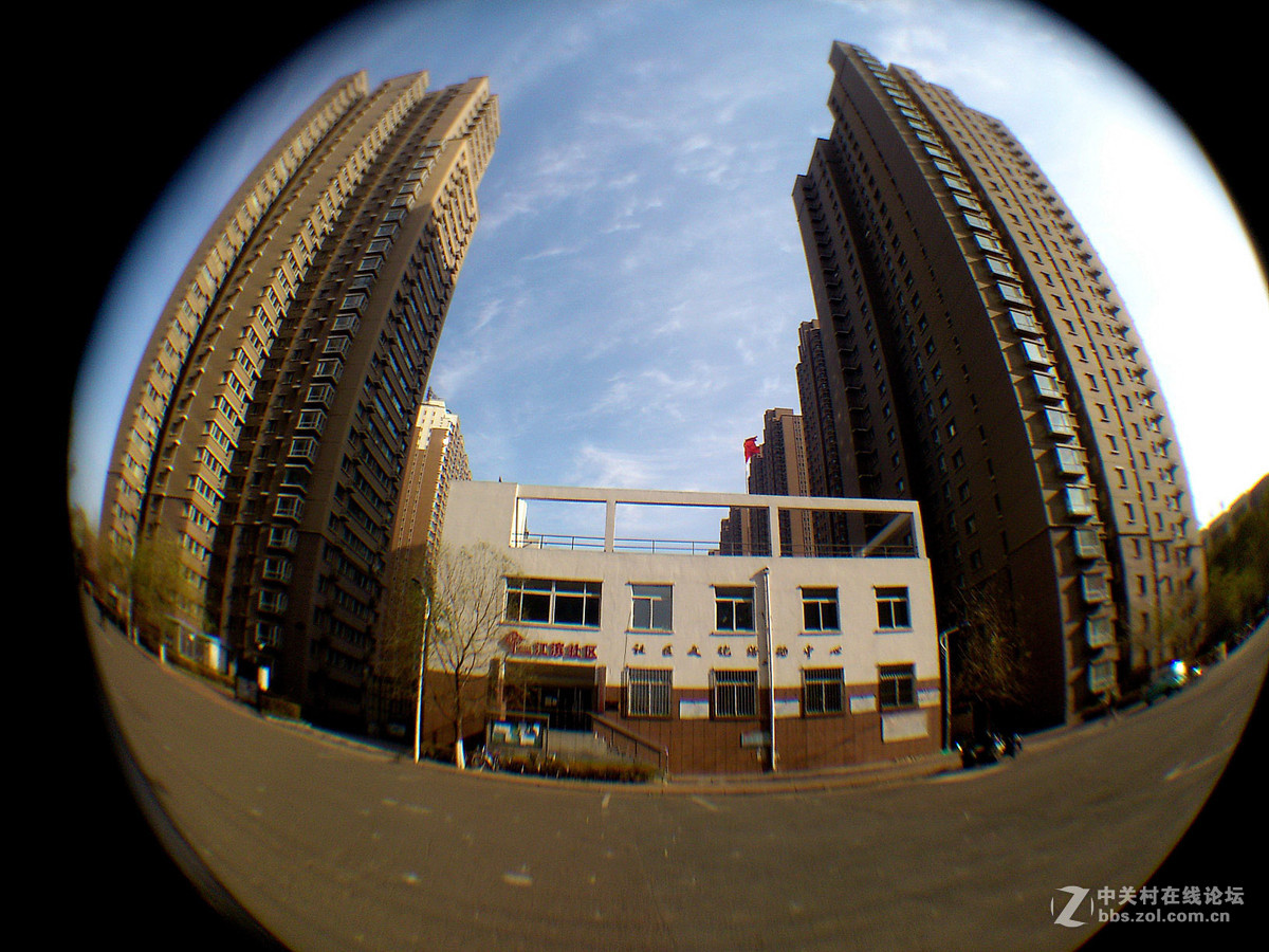 鱼的眼睛看到的吗