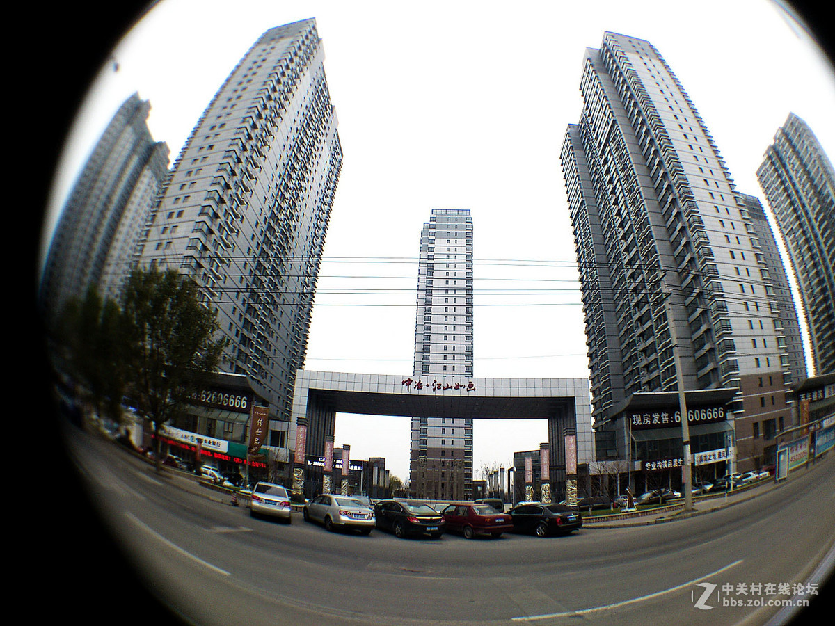 鱼的眼睛看到的吗