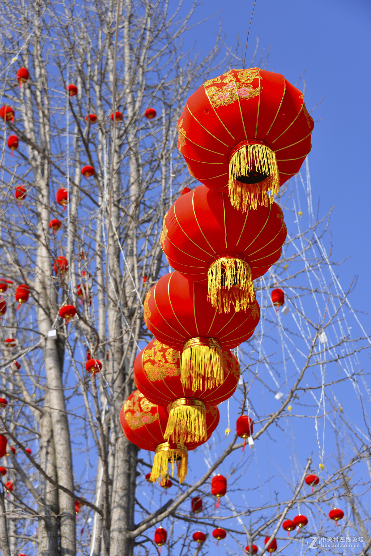 大紅燈籠高高掛