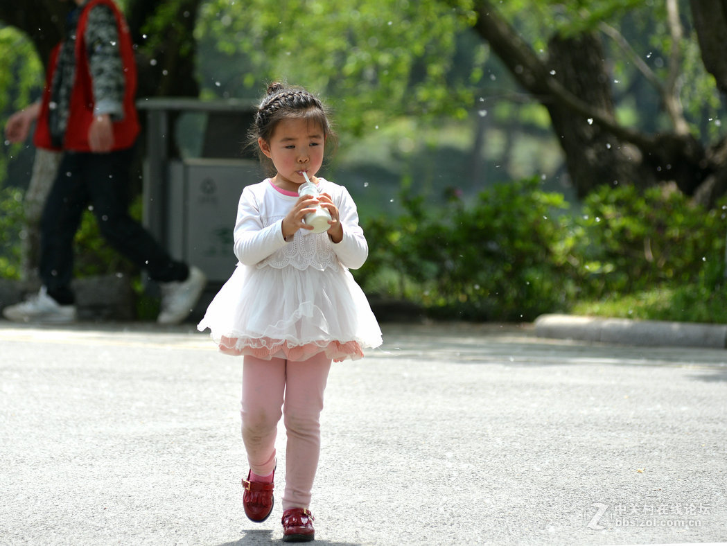 春天里的公园记实