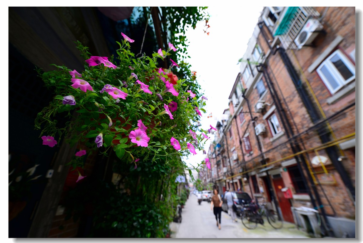 上海山阴路扫街2016.06夏（一）-中关村在线摄影论坛