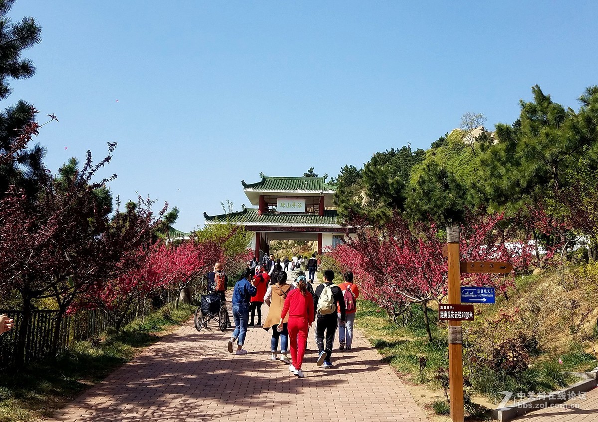 【  珠山秀谷大珠山　地处青岛西海岸  】——　敬请手机星空(中国)版主师友指导、斧正！