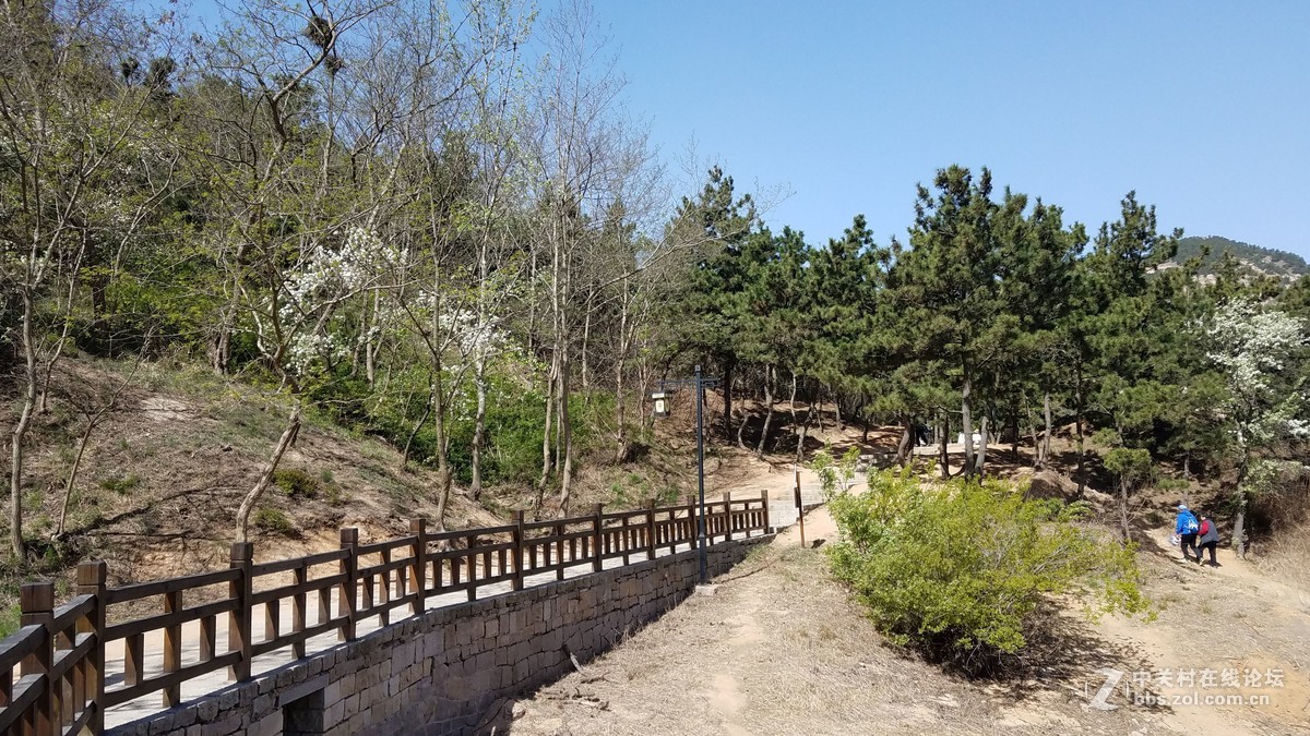 【  珠山秀谷大珠山　地处青岛西海岸  】——　敬请手机星空(中国)版主师友指导、斧正！