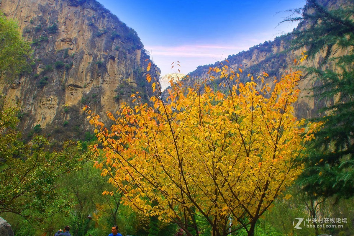 山西壶关-太行山之旅-红叶似火的红豆峡