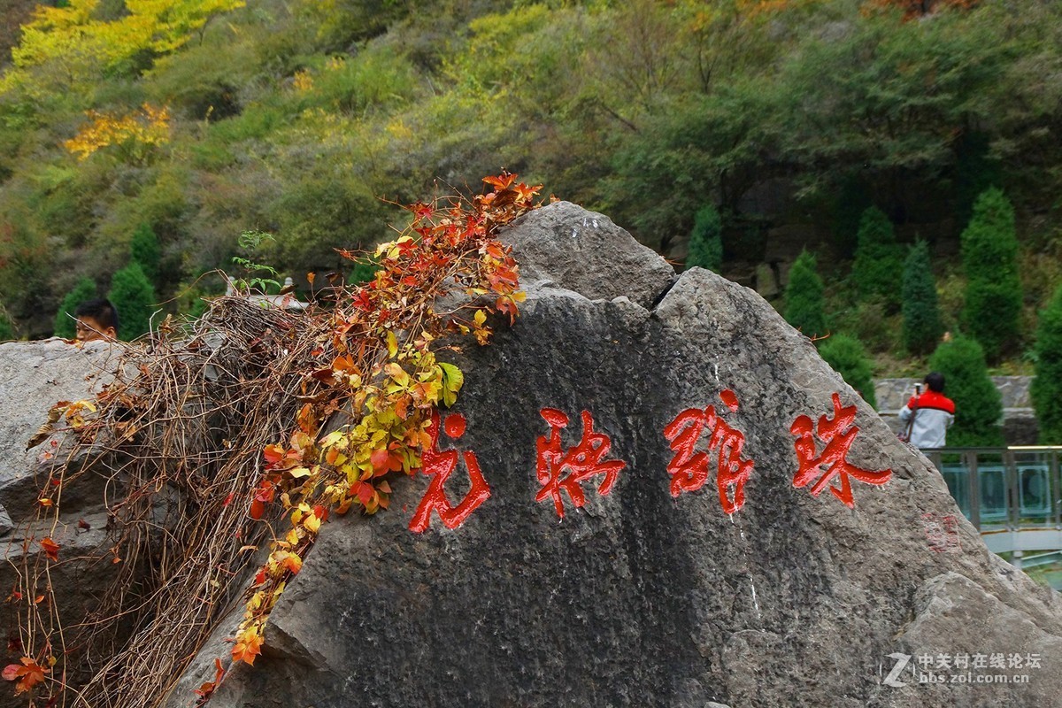 山西壶关-太行山之旅-红叶似火的红豆峡