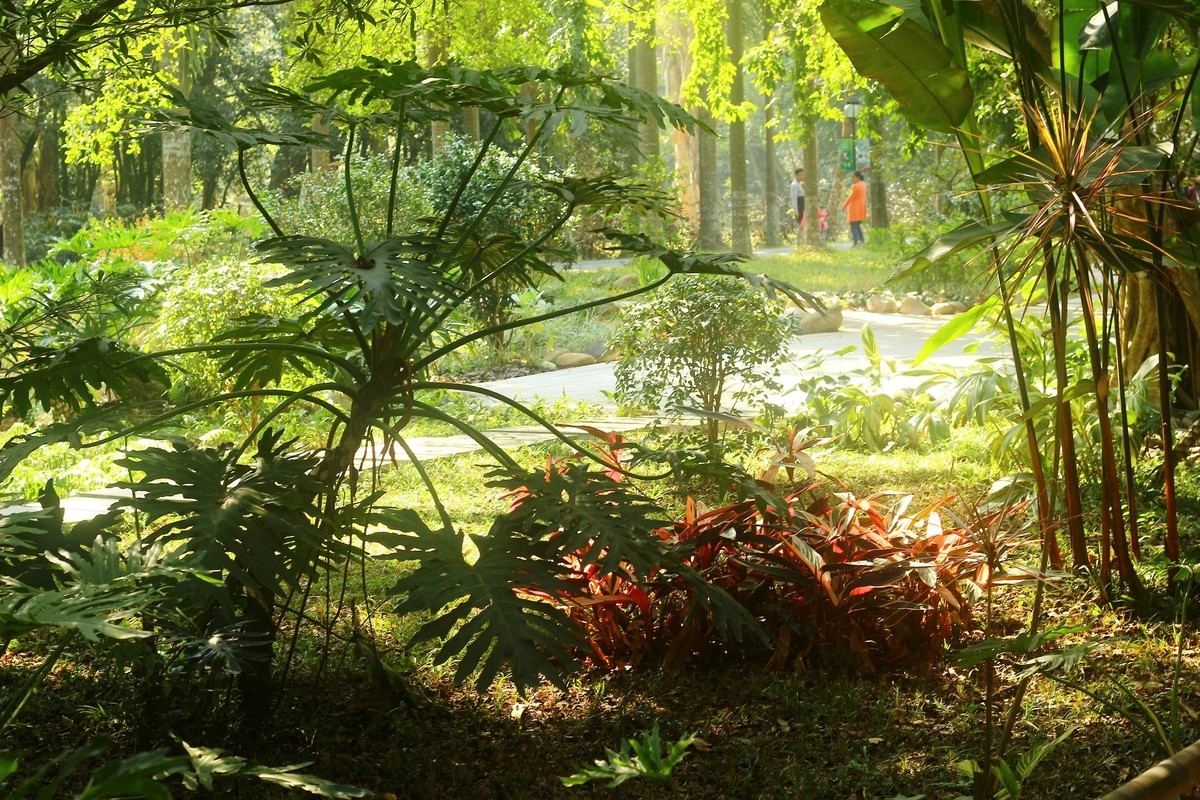 植物园散心拍摄