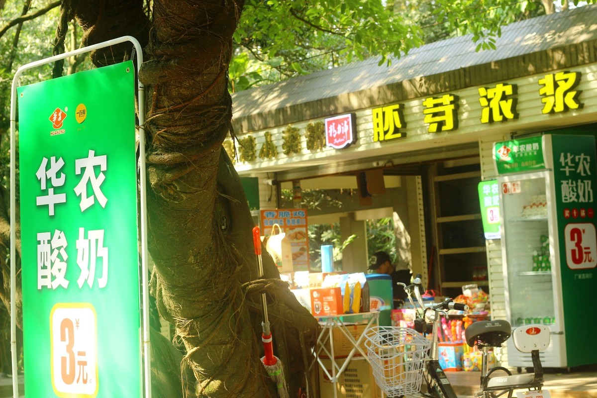 植物园散心拍摄