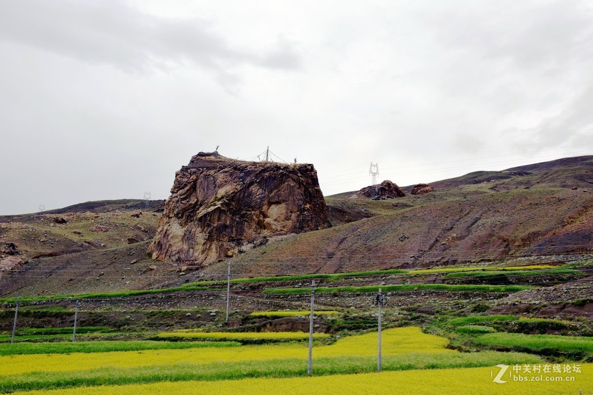 2018夏 川新藏（91）斯米拉山
