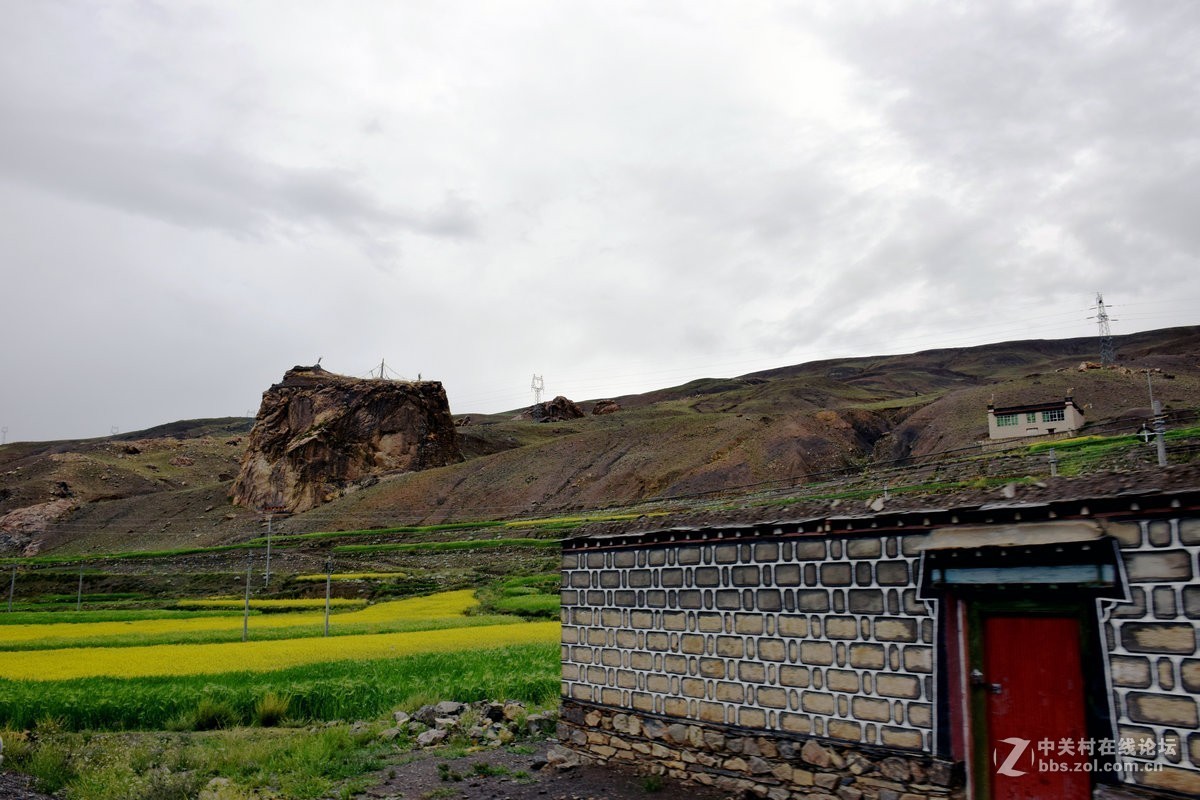 2018夏 川新藏（91）斯米拉山