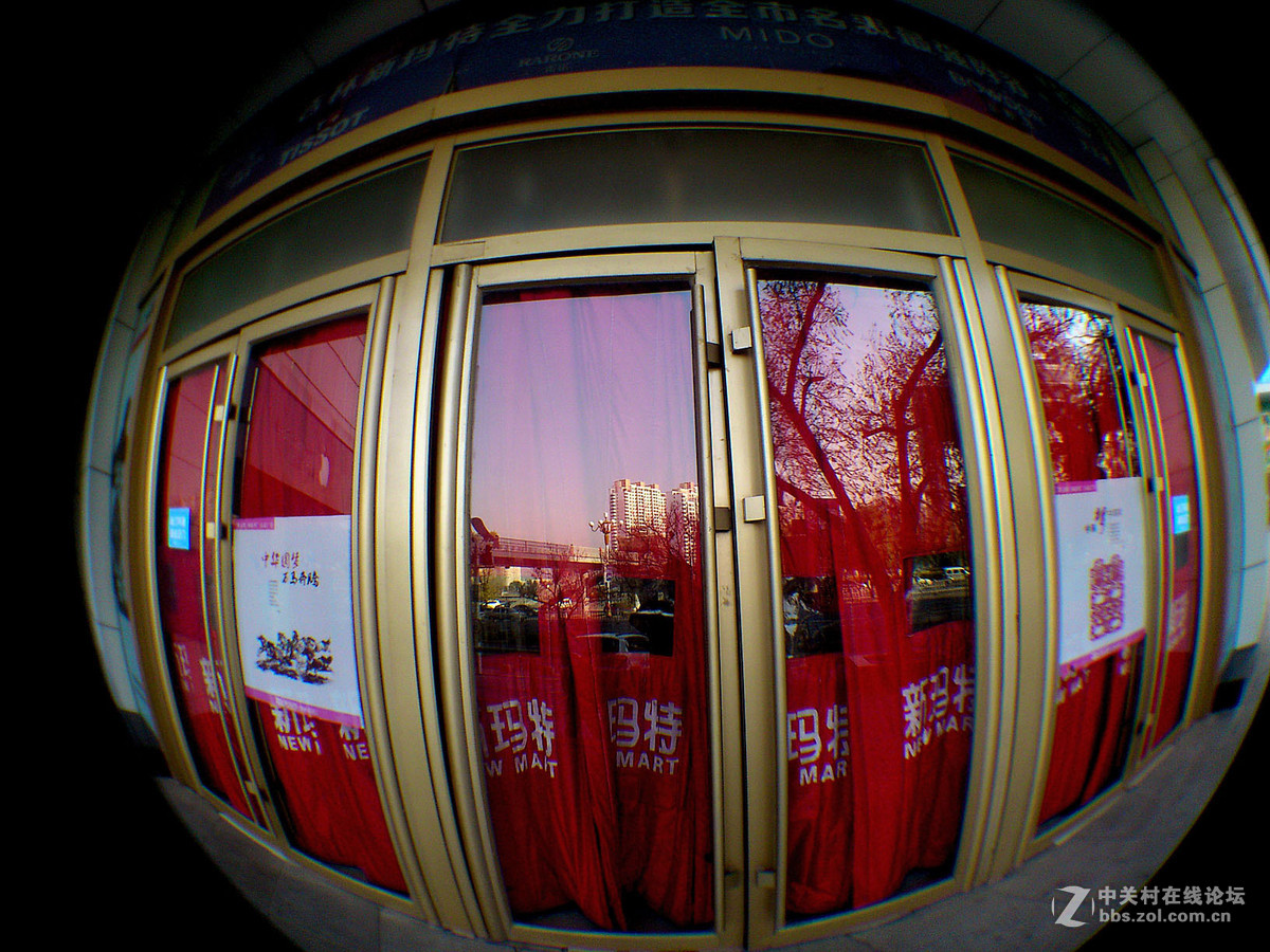 鱼的眼睛看到的吗