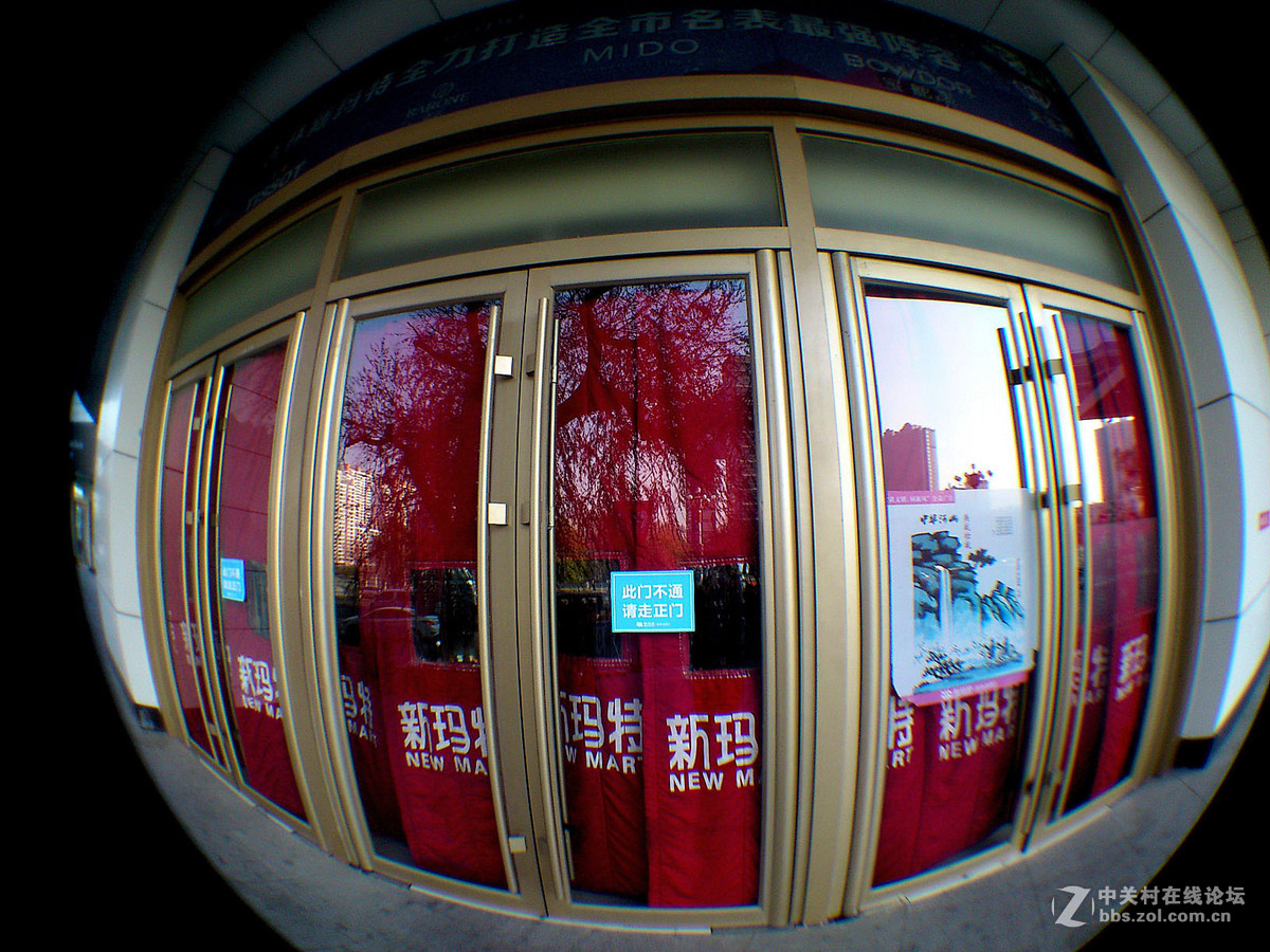 鱼的眼睛看到的吗