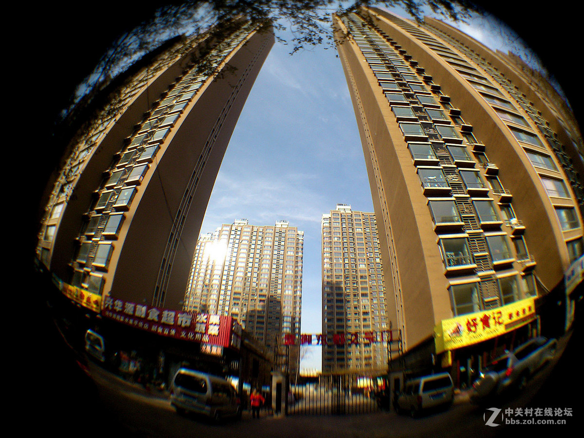 鱼的眼睛看到的吗