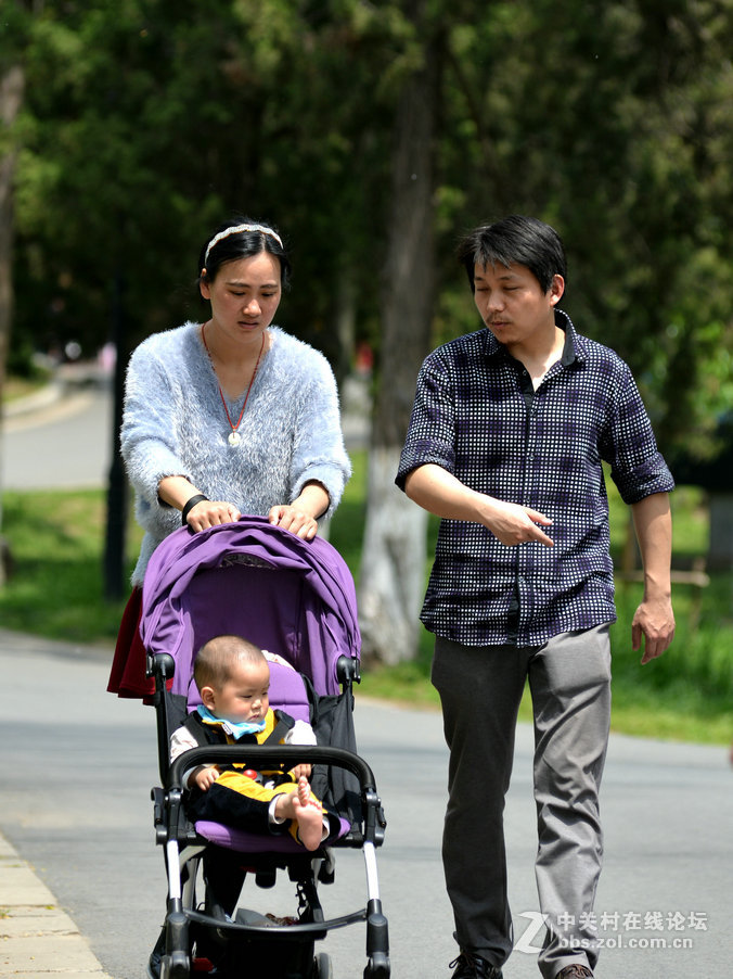 春天里的公园记实