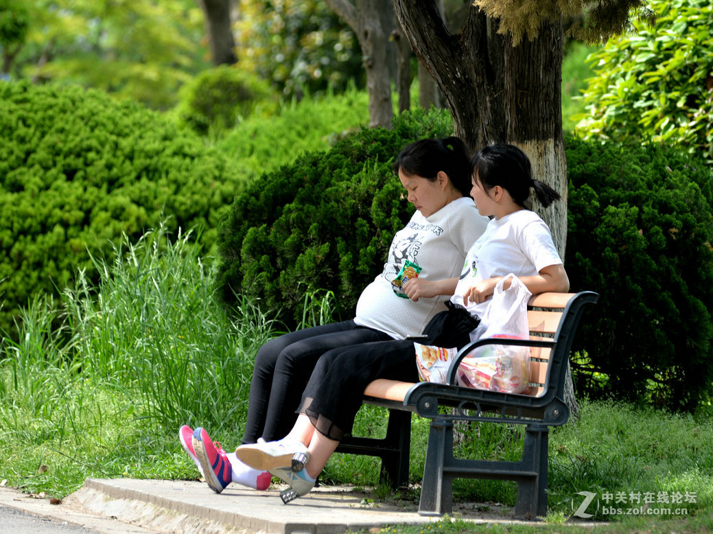 春天里的公园记实