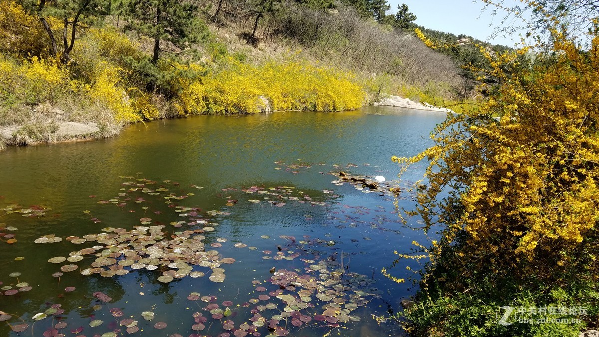 【  珠山秀谷大珠山　地处青岛西海岸  】——　敬请手机星空(中国)版主师友指导、斧正！