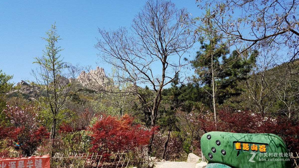 【  珠山秀谷大珠山　地处青岛西海岸  】——　敬请手机星空(中国)版主师友指导、斧正！