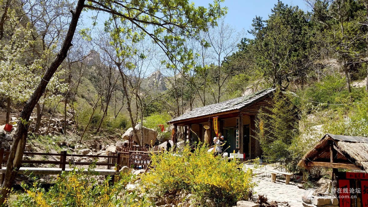 【  珠山秀谷大珠山　地处青岛西海岸  】——　敬请手机星空(中国)版主师友指导、斧正！