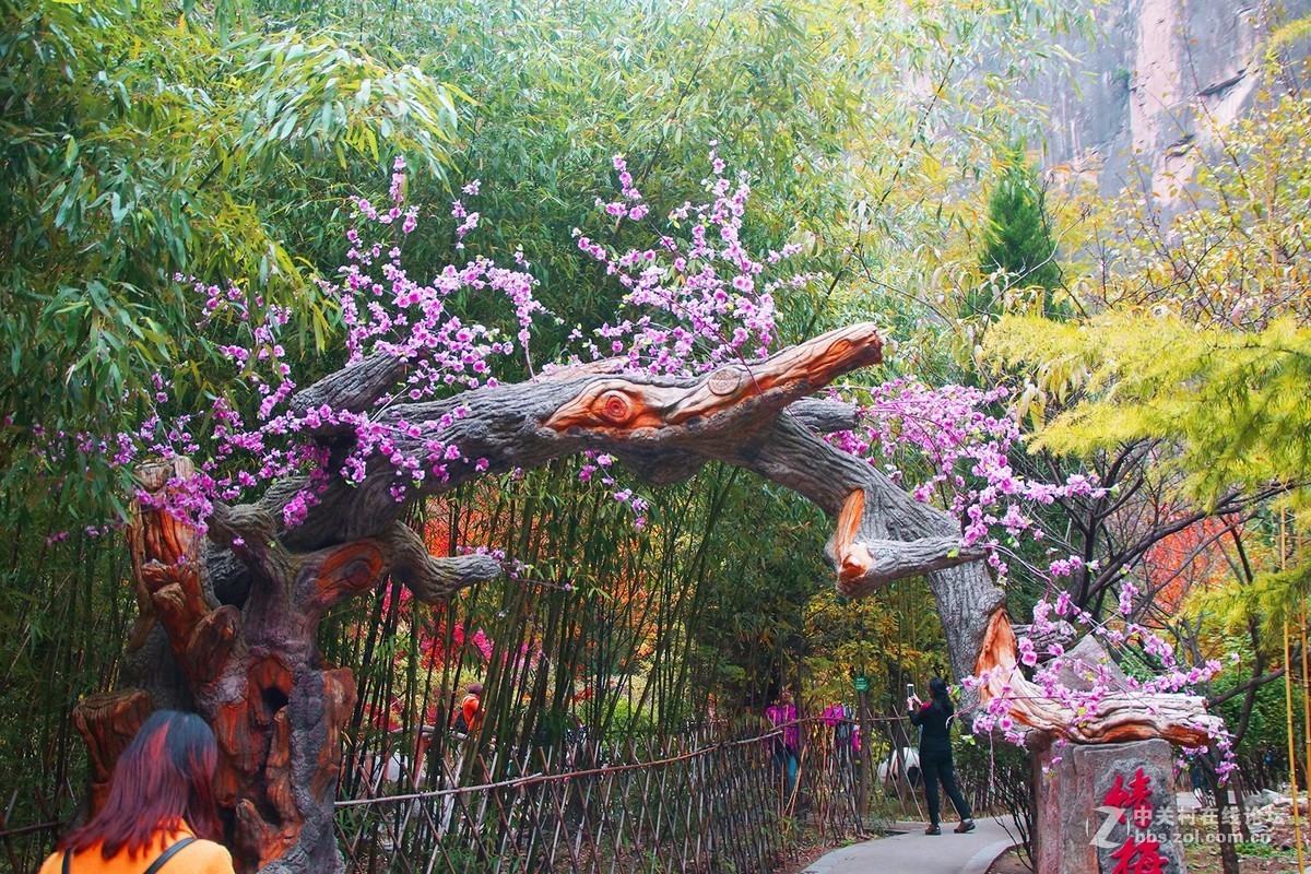 山西壶关-太行山之旅-红叶似火的红豆峡