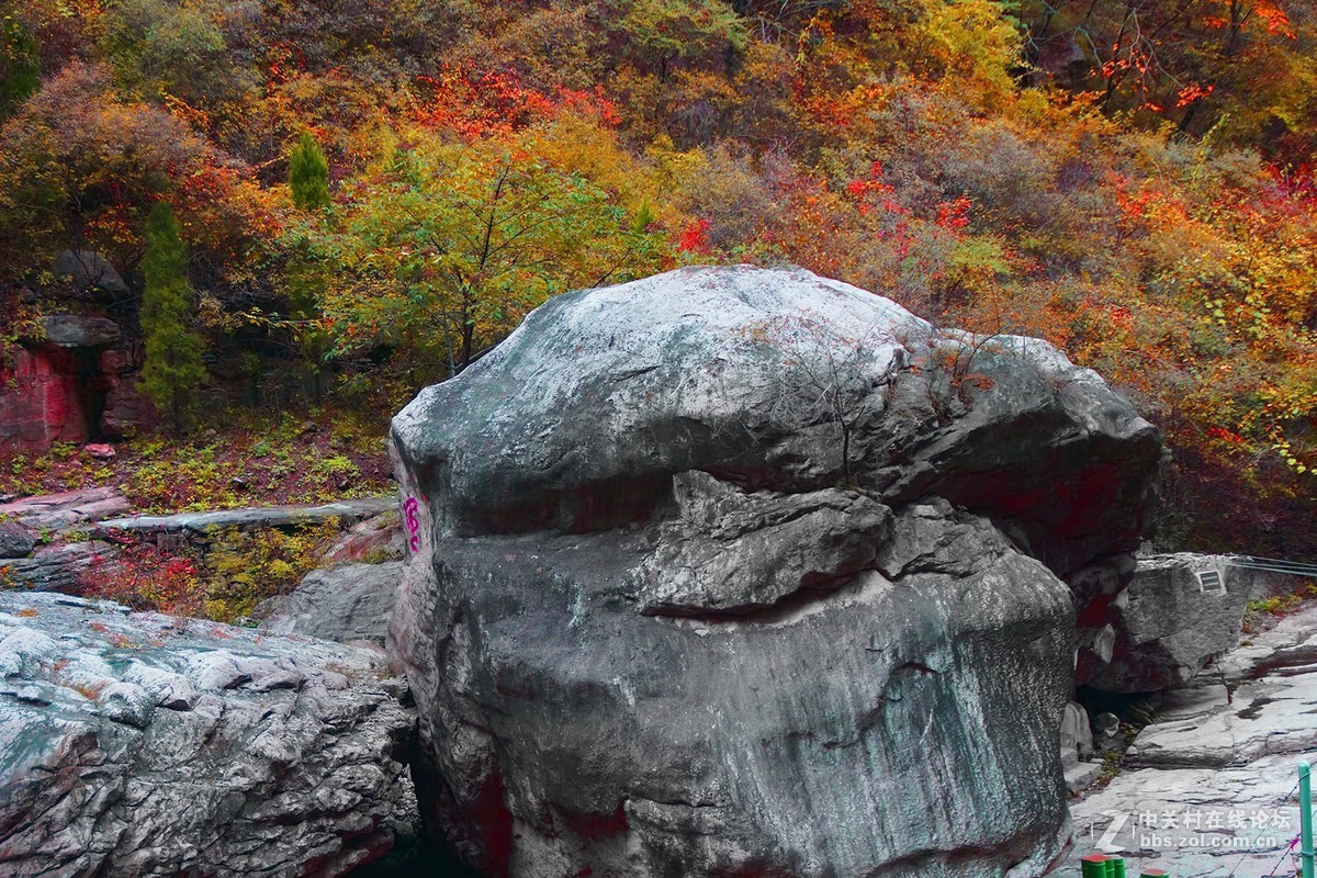 山西壶关-太行山之旅-红叶似火的红豆峡