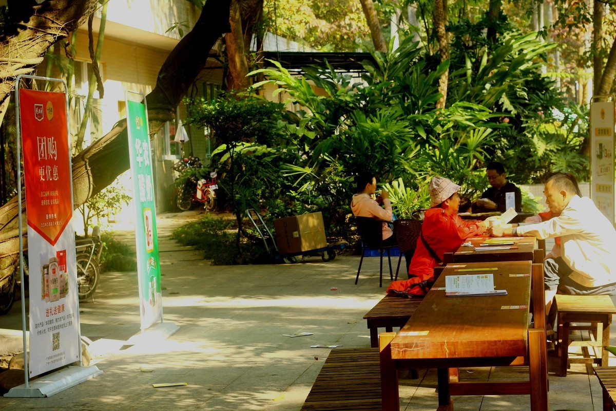 植物园散心拍摄