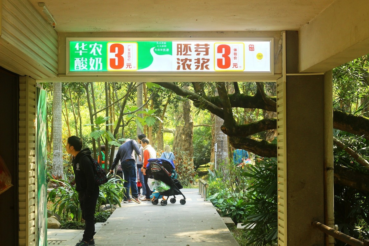 植物园散心拍摄