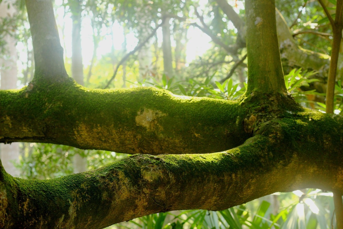 植物园散心拍摄