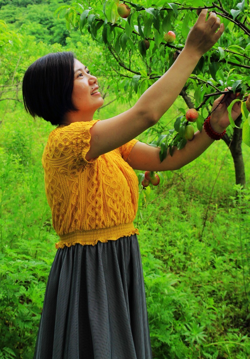摘桃子的女人
