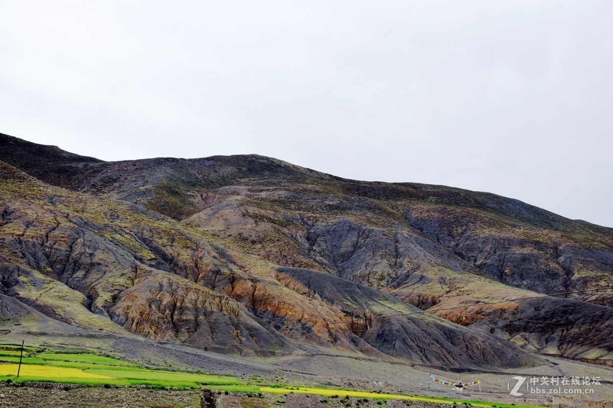 2018夏 川新藏（91）斯米拉山