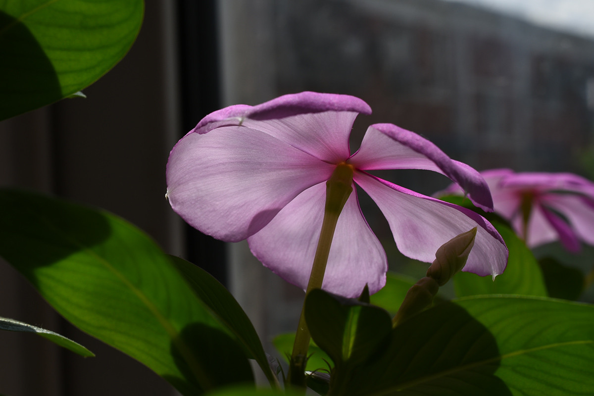 D750配DX40mm2.8试试暗角