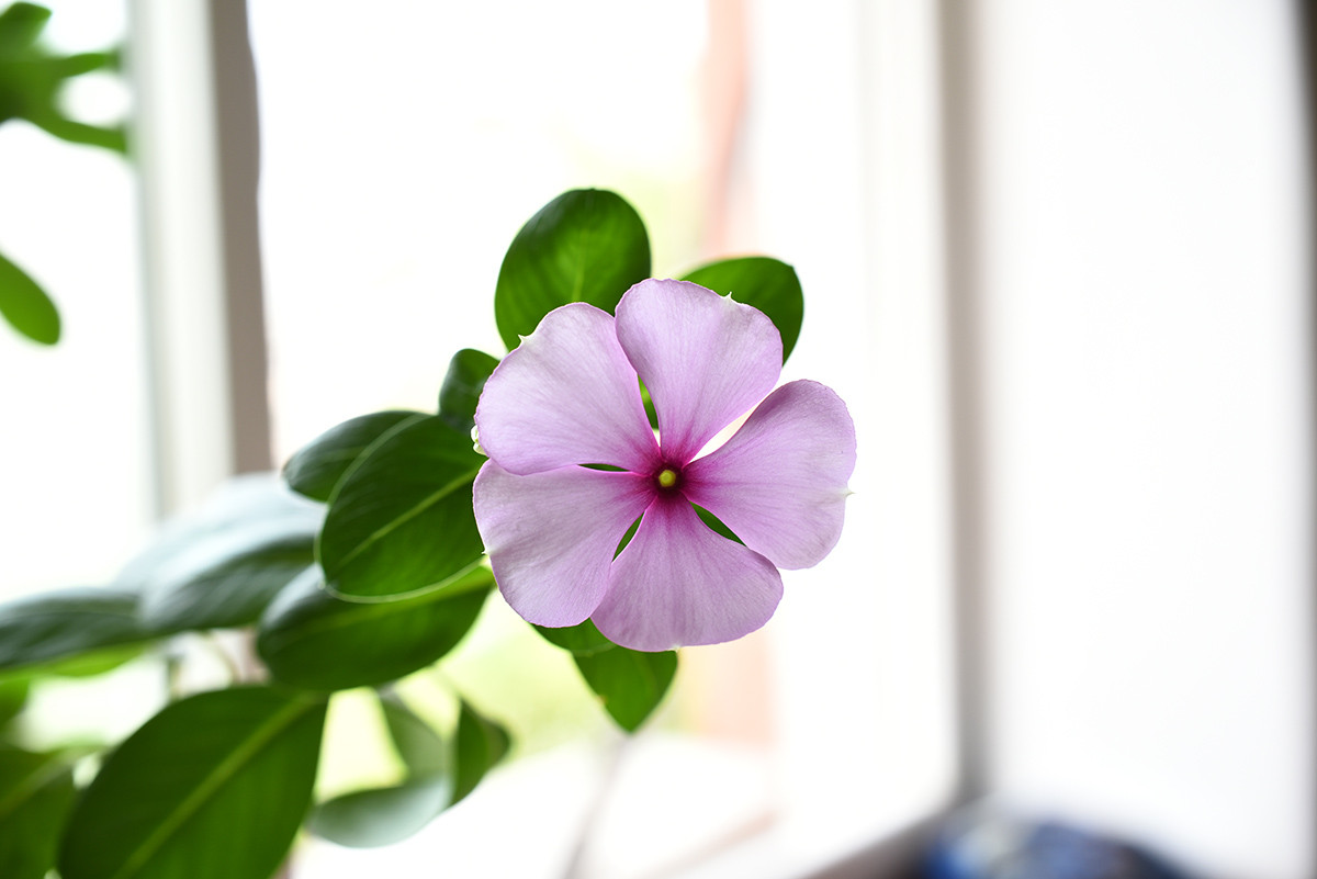 D750配DX40mm2.8试试暗角