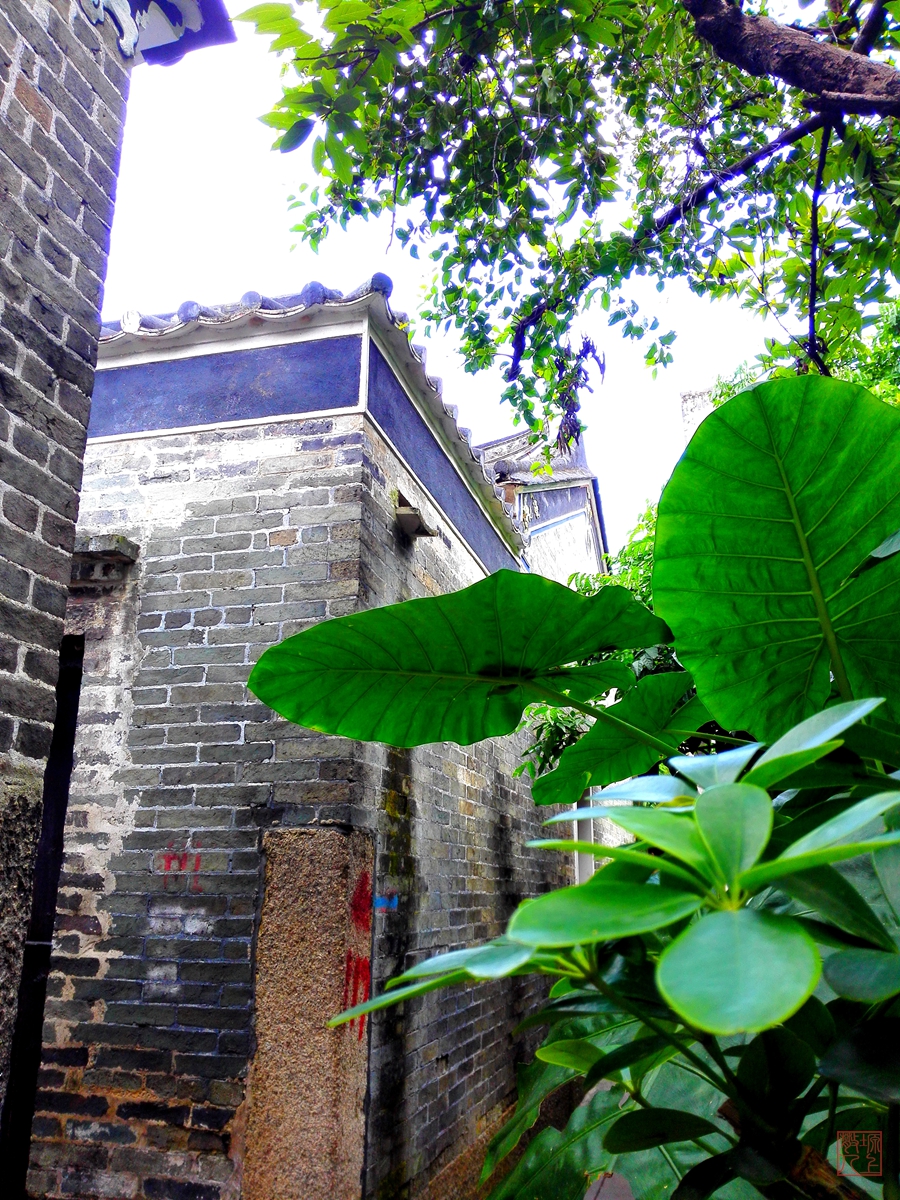 深圳凤凰古村-中关村在线摄影论坛