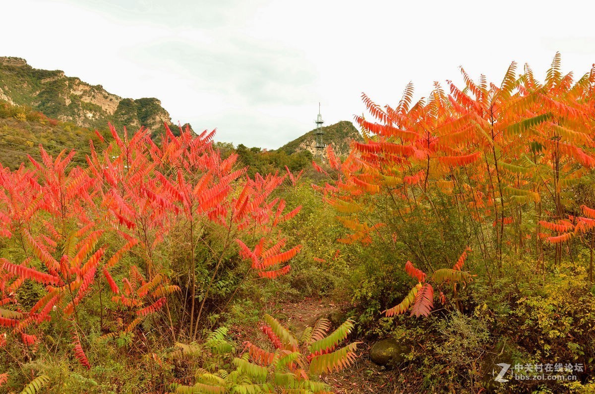 密云的“独秀峰”