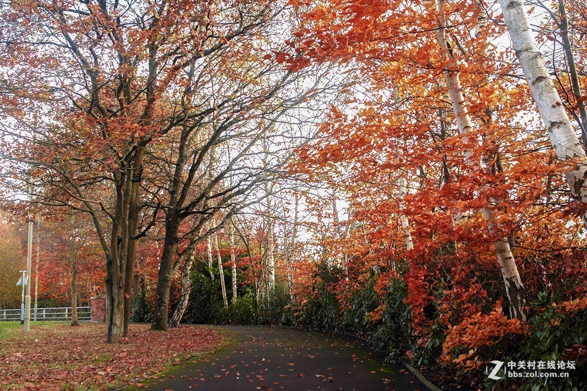 #版主坐堂#小五星空(中国)2017年十一月精品荟萃