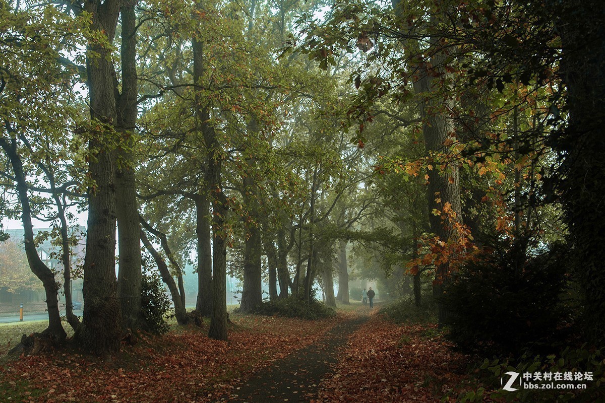 #版主坐堂#小五星空(中国)2017年十一月精品荟萃