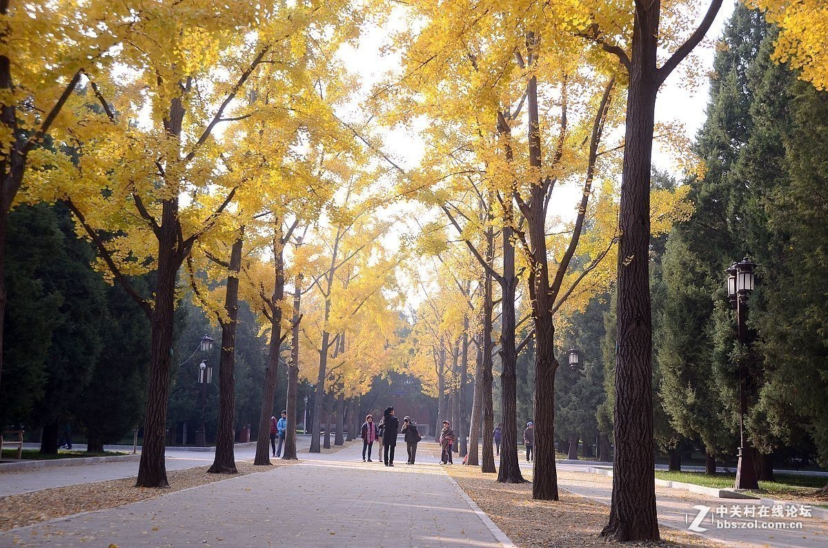 #版主坐堂#小五星空(中国)2017年十一月精品荟萃