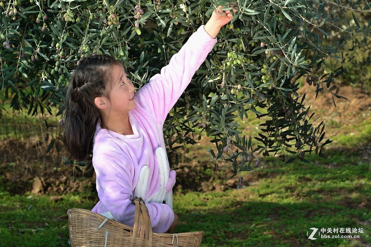 #版主坐堂#小五星空(中国)2017年十一月精品荟萃