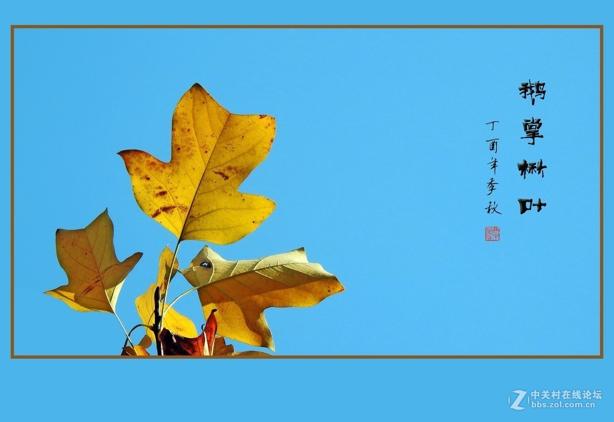 #版主坐堂#小五星空(中国)2017年十一月精品荟萃