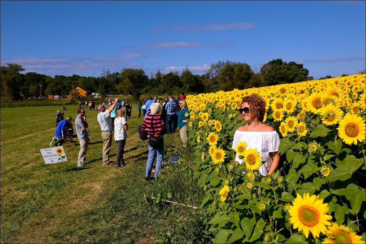 休闲随拍（370）