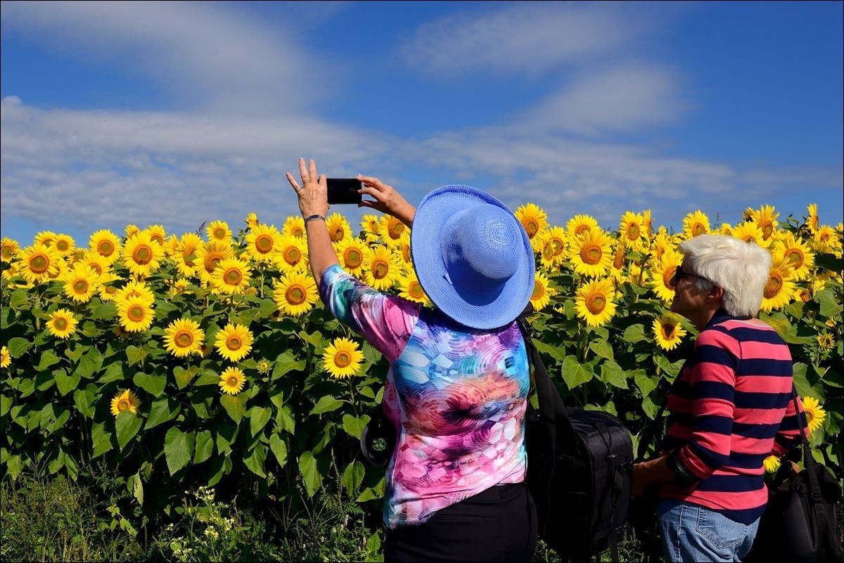 休闲随拍（370）