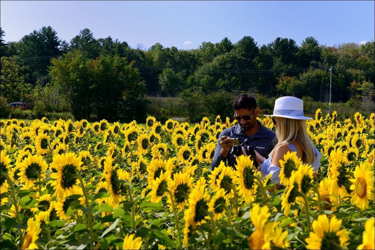 休闲随拍（370）