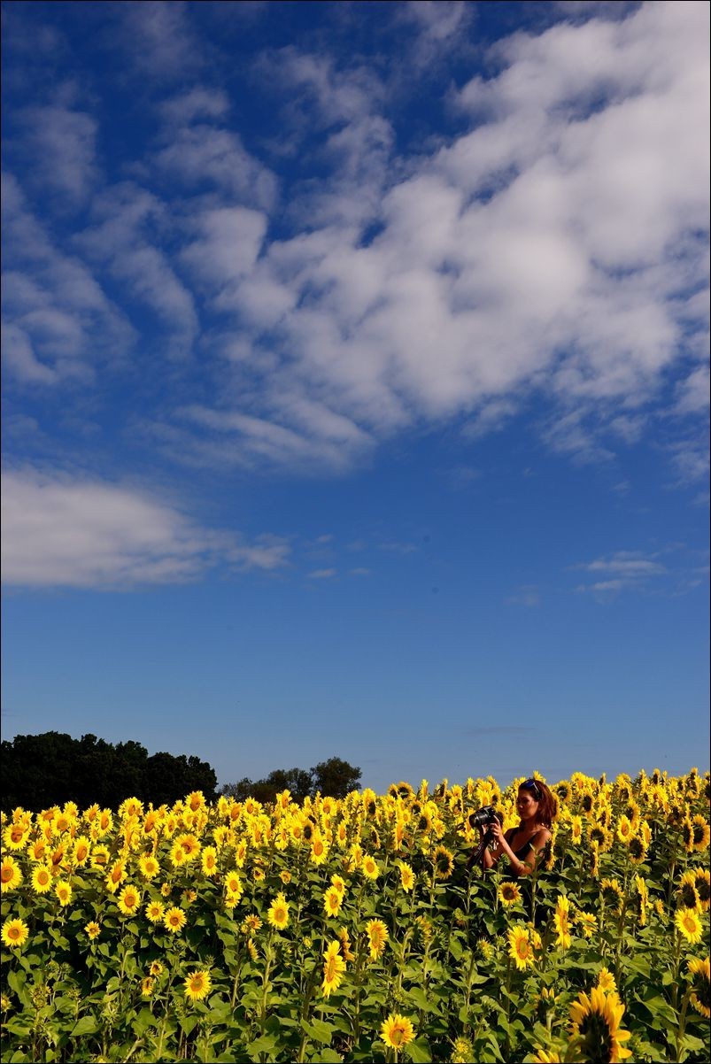 休闲随拍（370）