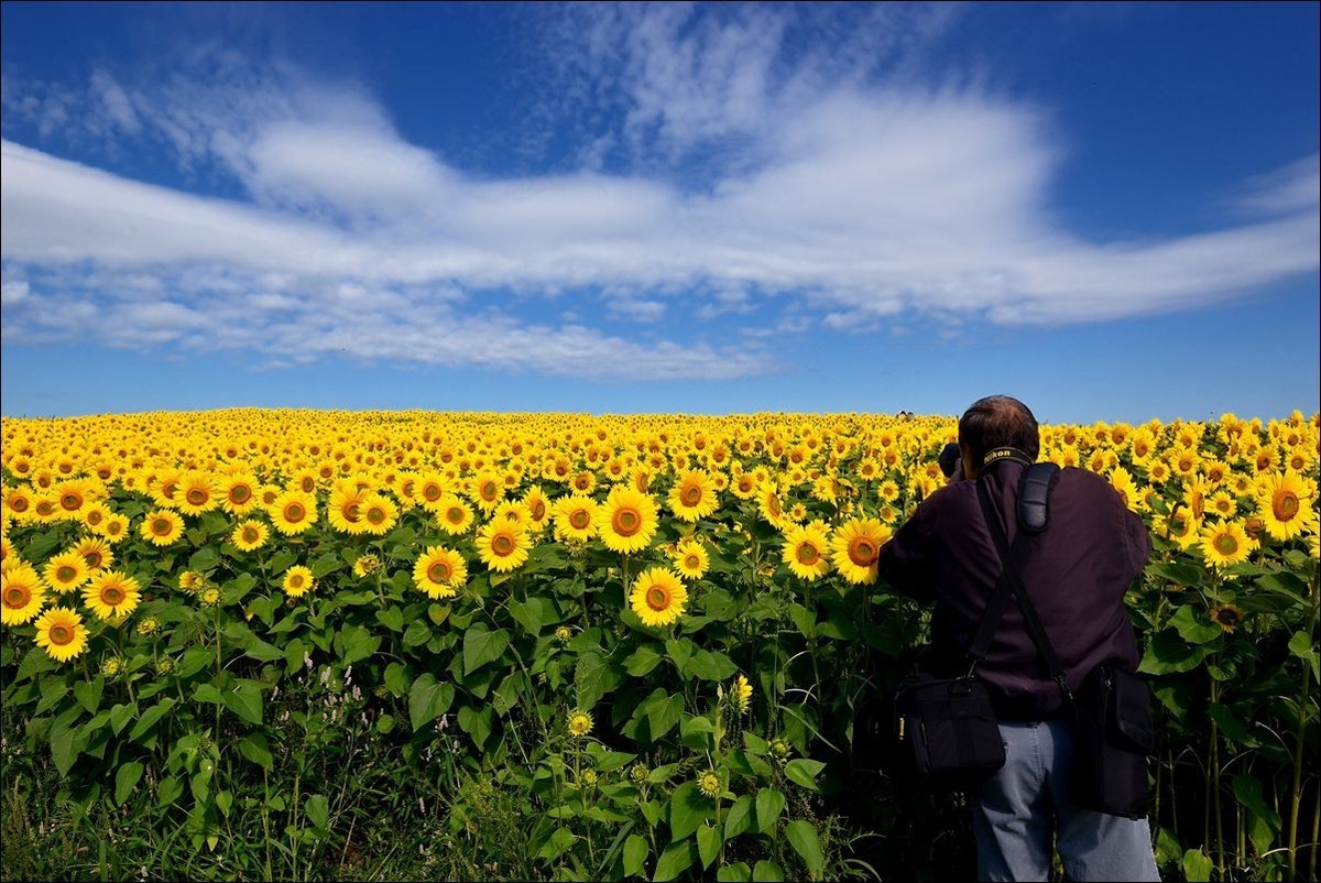 休闲随拍（370）