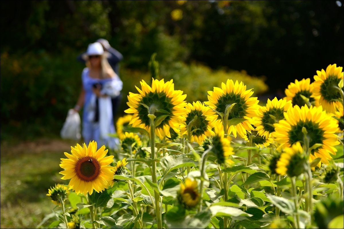 休闲随拍（370）