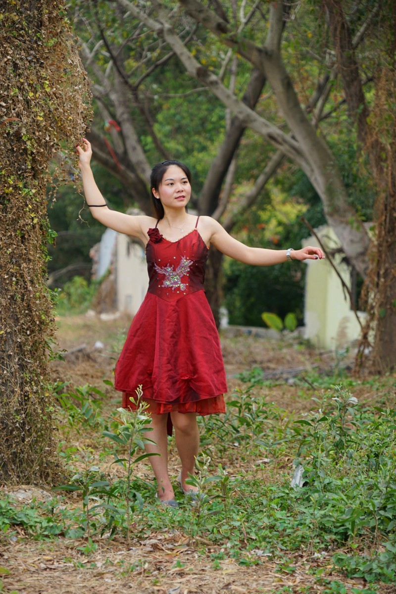 闯进黑森林的美少女