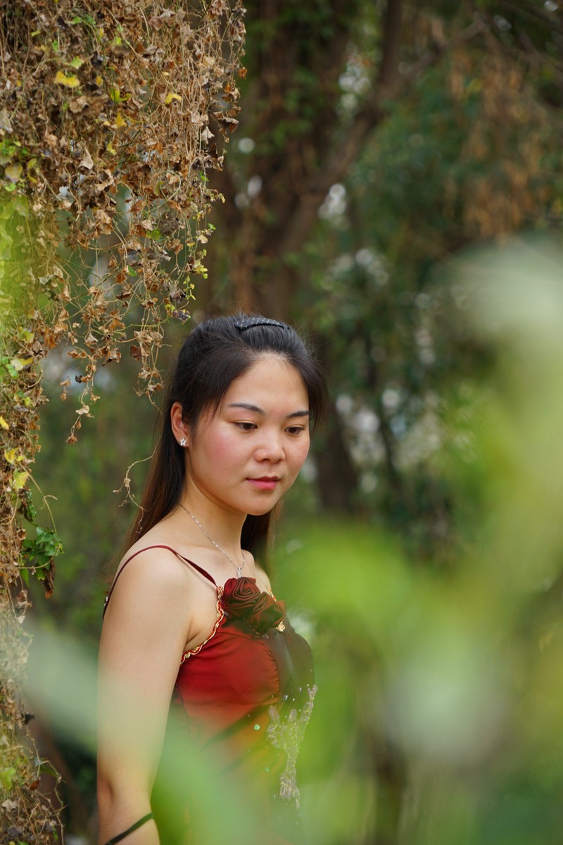 闯进黑森林的美少女
